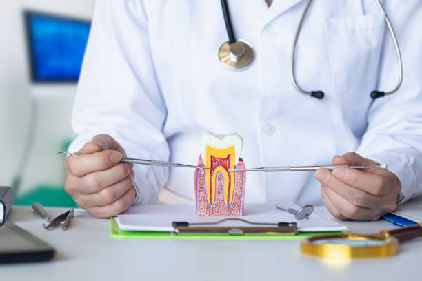 Best Emergency Treatment for Dental Infections or Abscesses in Polo, IL
